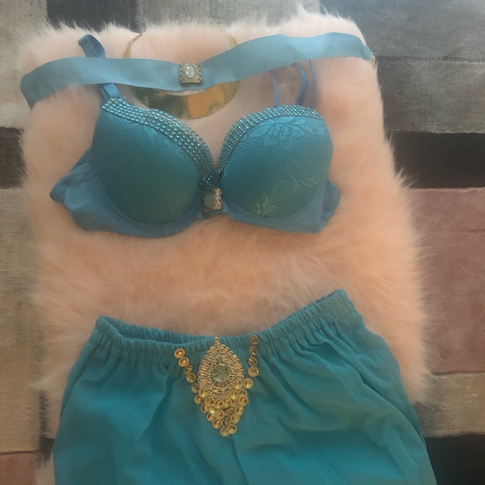 Custom made Jasmine Princess Halloween costume